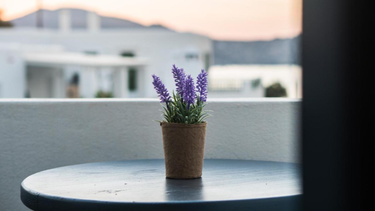 Vista Mare Hotel Науса Екстериор снимка